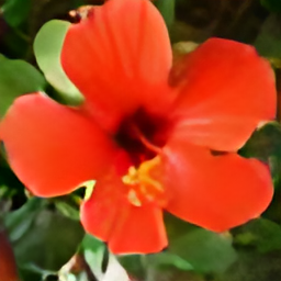 The flower after AI upscaling: sharp petals and clean edges